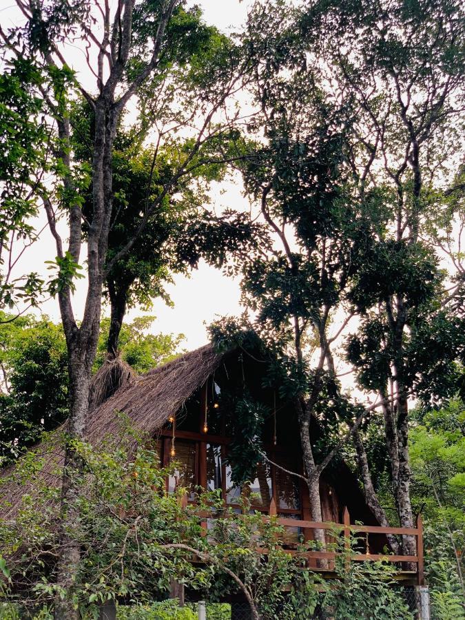 Kale Cottage Belihuloya Extérieur photo